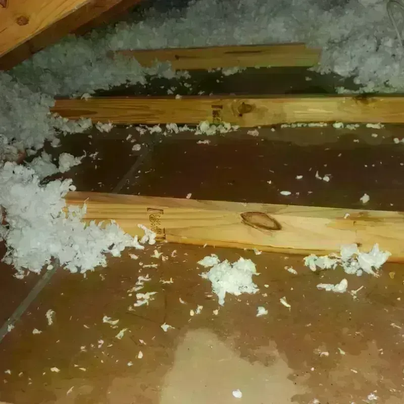 Attic Water Damage in Laingsburg, MI